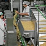 Trabajá en LEGUMBRES DON PEDRO – Inscripciones abiertas