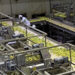 Trabajá en ALIMENTOS SAN MIGUEL – Inscripciones abiertas